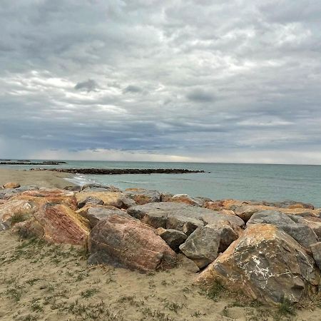 Port Barcares Vue Port Et Mer Le Barcares Exterior photo